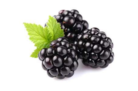 blackberry-fruit-455-x-300